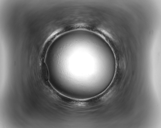 X0000085781309200703161156