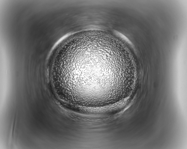 X0000085781310200703161156
