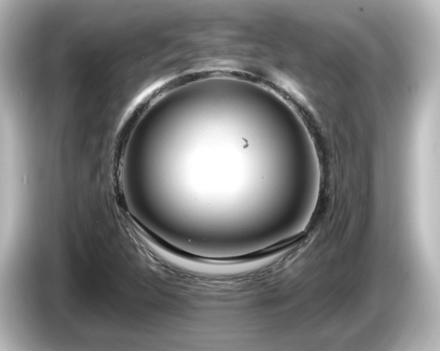 X0000085781312200703161156