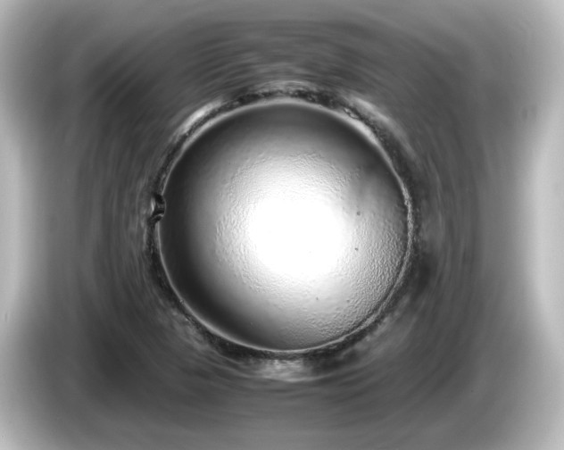 X0000085781313200703161156