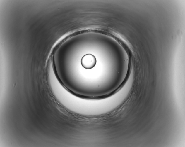 X0000085781316200703161156