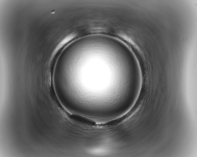 X0000085781317200703161156