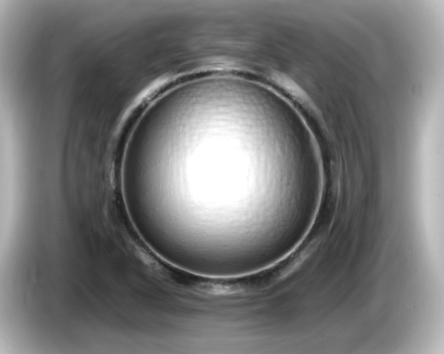X0000085781318200703161156
