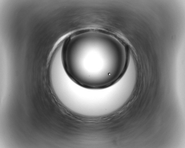 X0000085781320200703161156