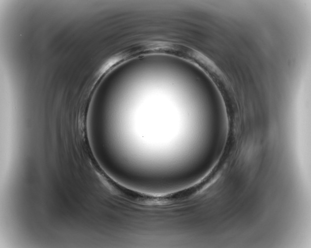 X0000085781321200703161156
