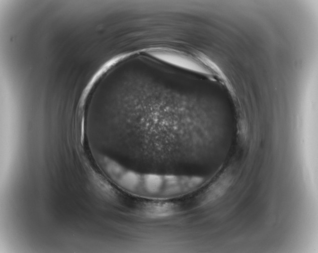 X0000085781323200703161156