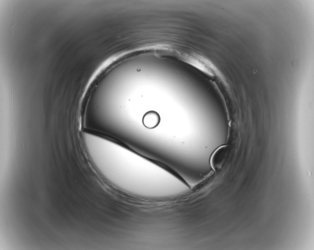 X0000085781324200703161156