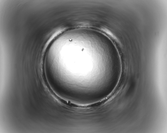 X0000085781325200703161156