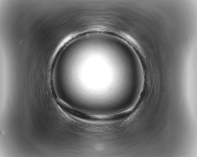 X0000085781326200703161156