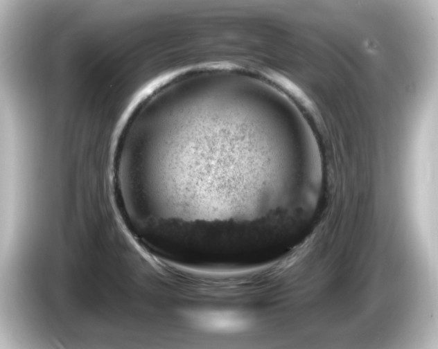 X0000085781327200703161156