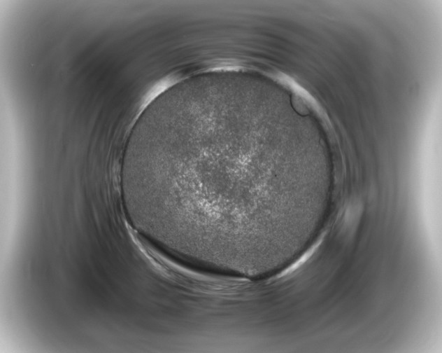 X0000085781329200703161156