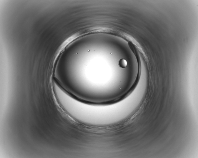 X0000085781330200703161156