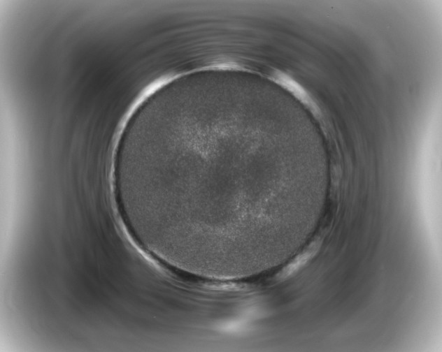 X0000085781331200703161156