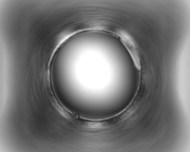 X0000085781332200703161156