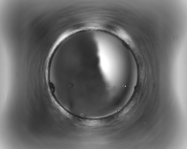 X0000085781334200703161156