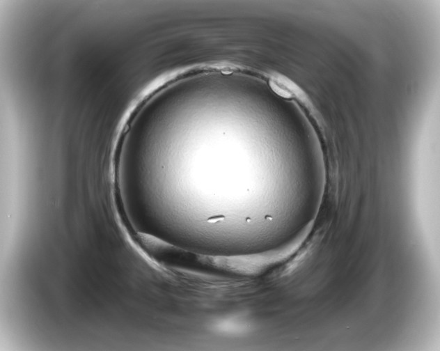 X0000085781335200703161156