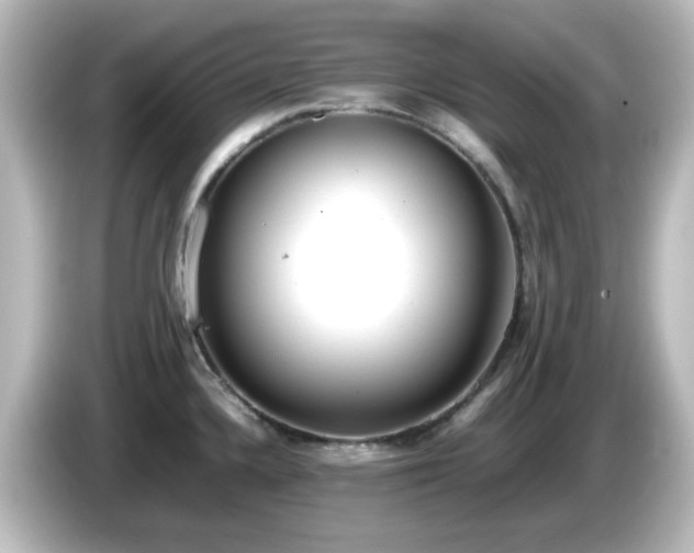 X0000085781336200703161156