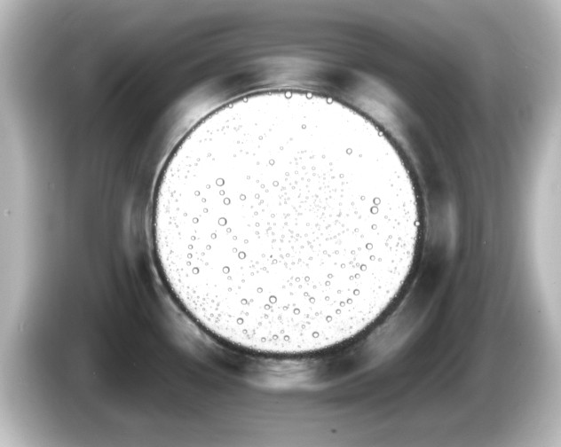 X0000085781338200703161156