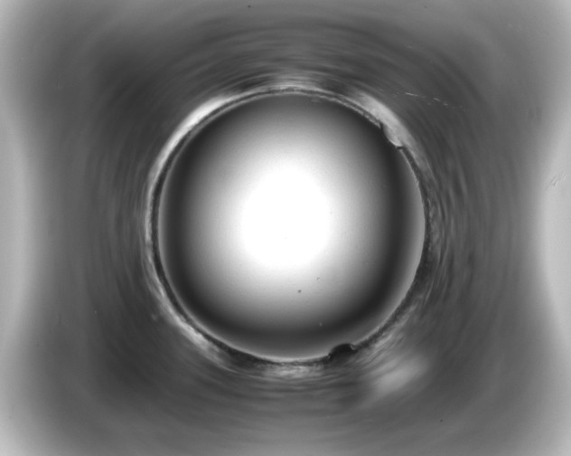 X0000085781339200703161156