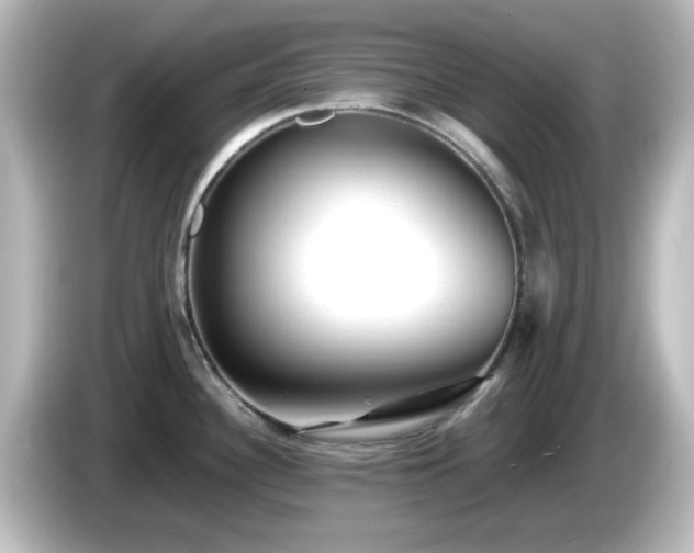 X0000085781340200703161156