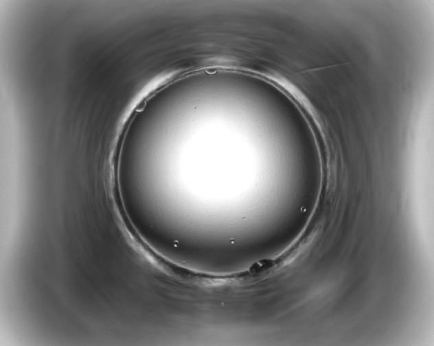 X0000085781341200703161156