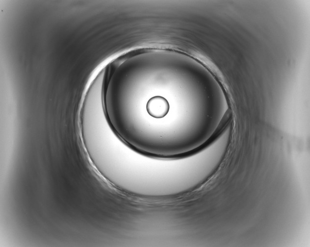 X0000085781344200703161156