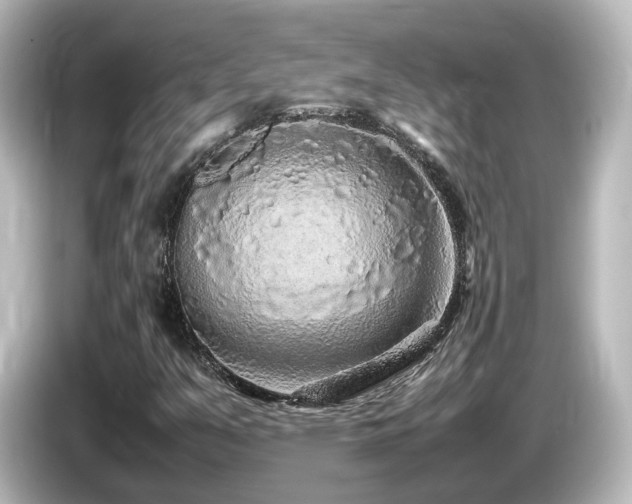 X0000085781351200703161156