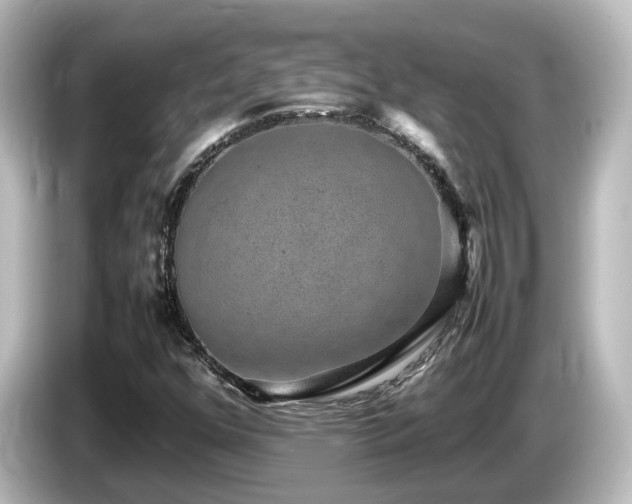X0000085781352200703161156