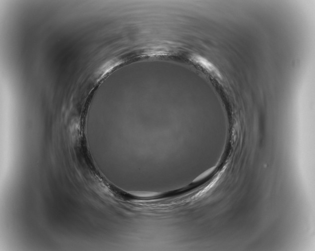 X0000085781353200703161156