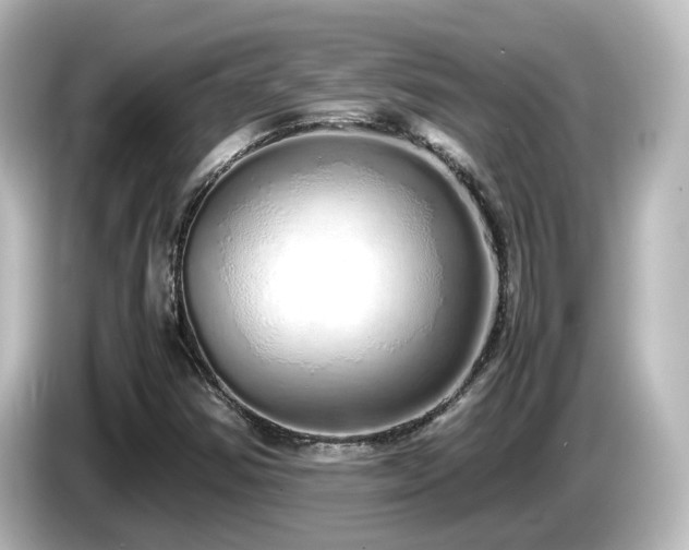 X0000085781354200703161156