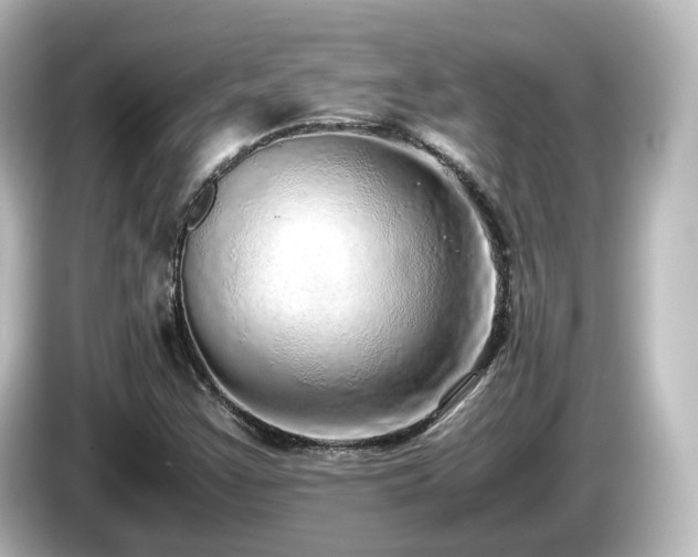 X0000085781355200703161156