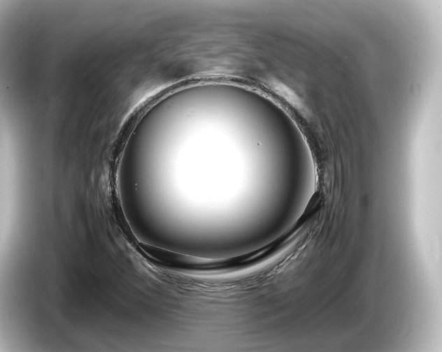 X0000085781356200703161156