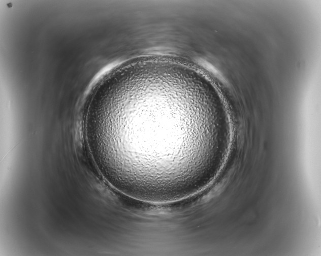 X0000085781358200703161156