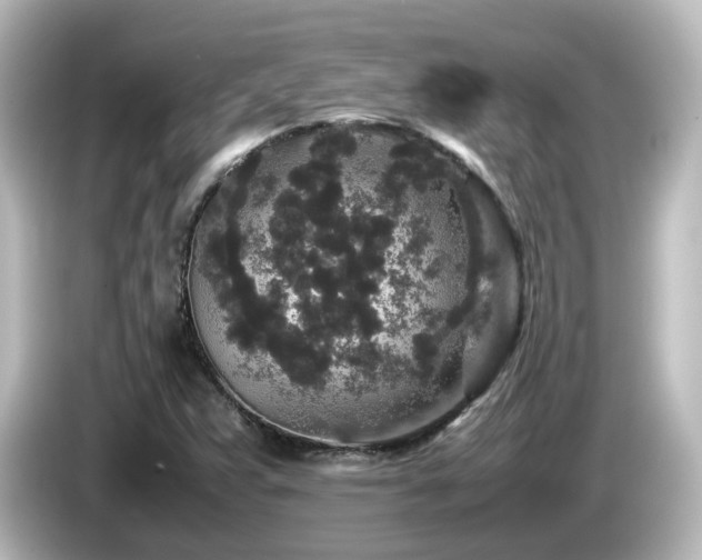 X0000085781359200703161156