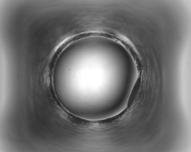 X0000085781360200703161156