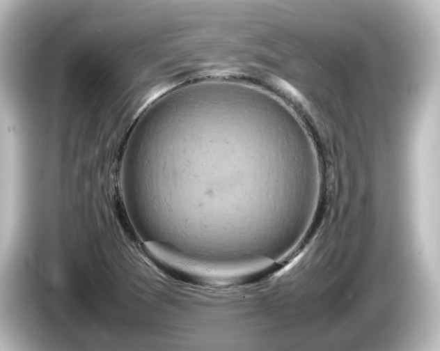 X0000085781361200703161156