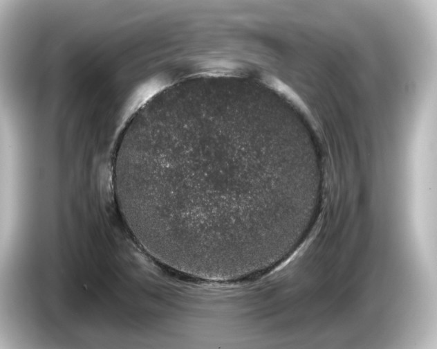 X0000085781362200703161156