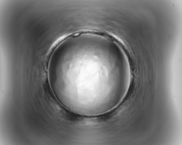 X0000085781363200703161156