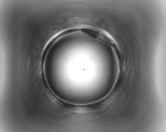 X0000085781364200703161156
