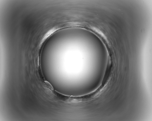 X0000085781365200703161155