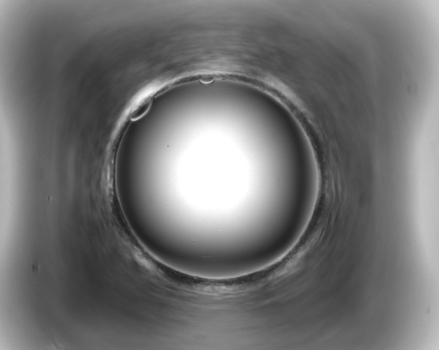 X0000085781366200703161155