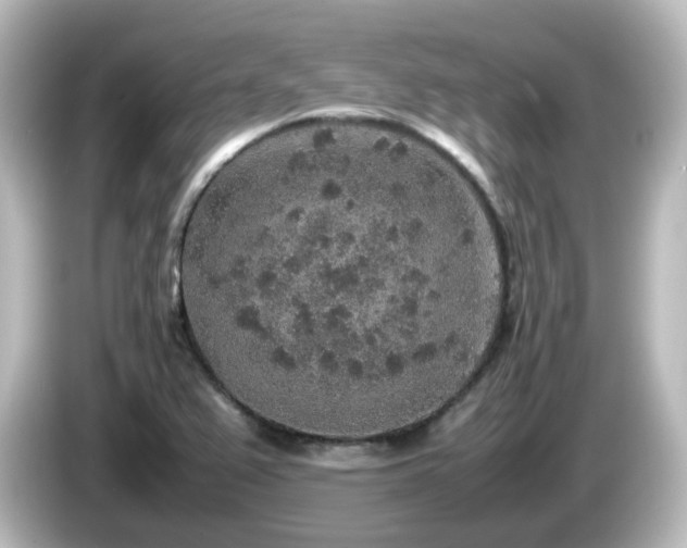 X0000085781367200703161155