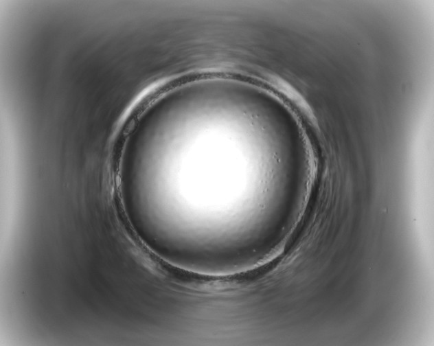 X0000085781368200703161155