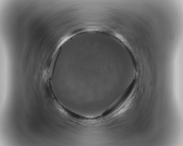 X0000085781369200703161155
