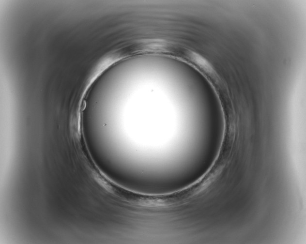 X0000085781370200703161155