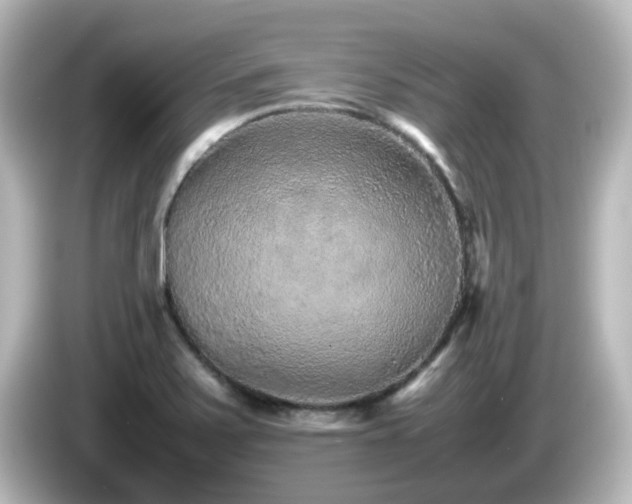 X0000085781371200703161155
