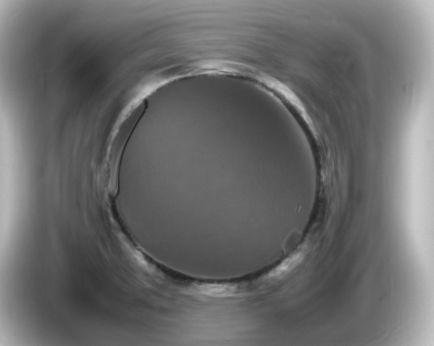 X0000085781373200703161155