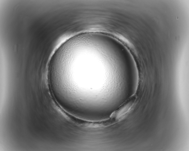 X0000085781374200703161155