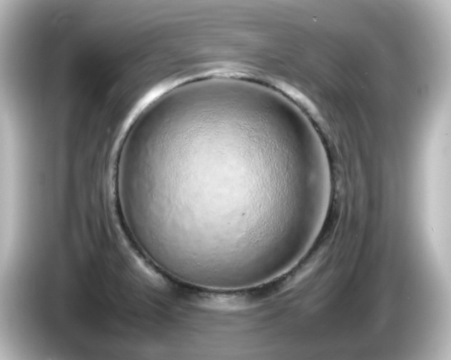 X0000085781375200703161155