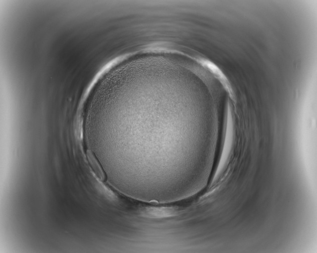 X0000085781376200703161155